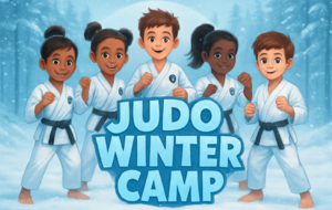 Stage de judo MINI POUSSIN à MINIMES février 2026